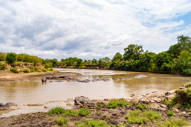 Similar image 15927421