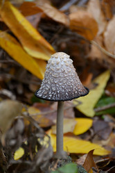 Similar image 15928894