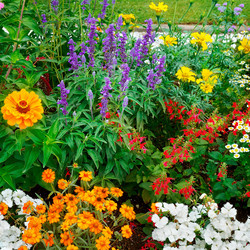 Similar image 16380858