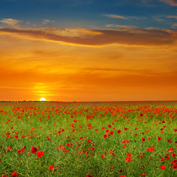 Similar image 16380906