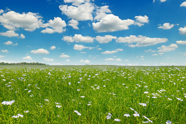 Similar image 16380965