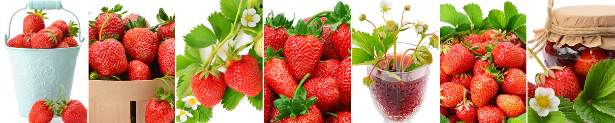 Similar image 16381091