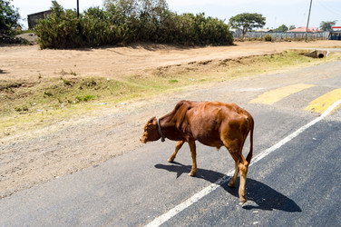 Similar image 15928910