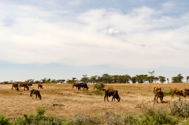 Similar image 15928911