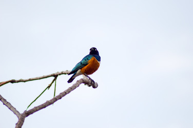 Similar image 15928915