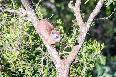 Similar image 15928917