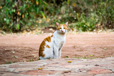 Similar image 15928919