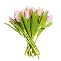 Similar image 16221295