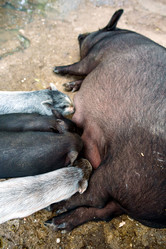 Similar image 16248771