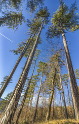 Similar image 15929009