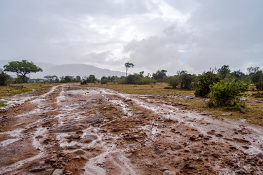 Similar image 15929023