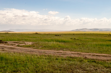 Similar image 15929026