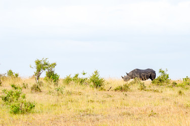 Similar image 15929055