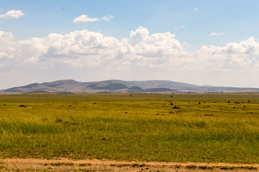 Similar image 15929059