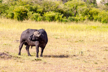 Similar image 15929063