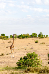 Similar image 15929064