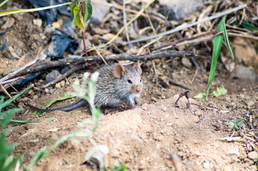 Similar image 16060470