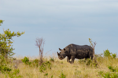 Similar image 16060492