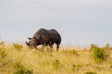 Similar image 16060511