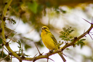 Similar image 16060525