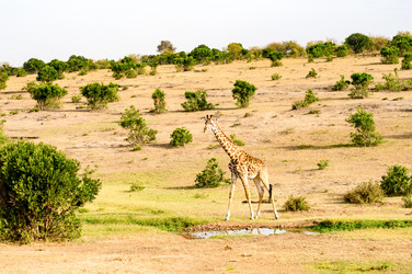 Similar image 16060549