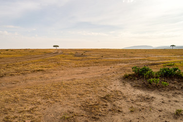 Similar image 16060592