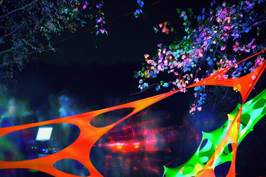 Similar image 16059021