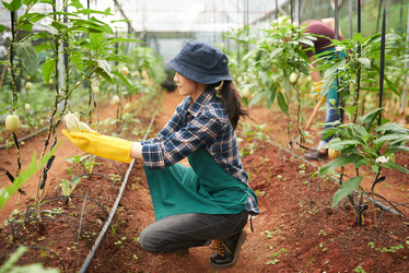 Similar image 16194074