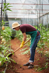 Similar image 16194127