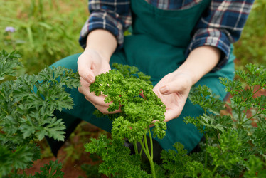 Similar image 16194167