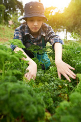 Similar image 16194181