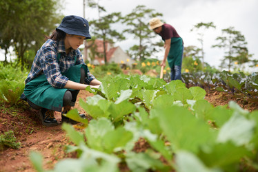 Similar image 16194207