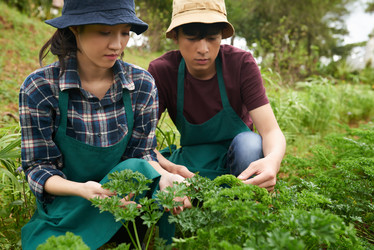 Similar image 16194262