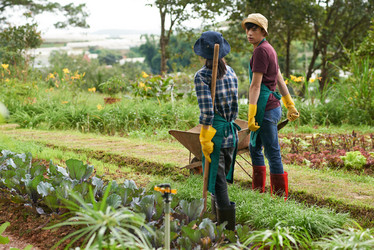 Similar image 16194476