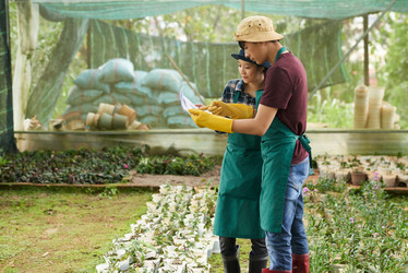 Similar image 16194518