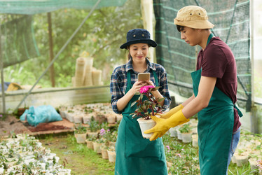 Similar image 16195350