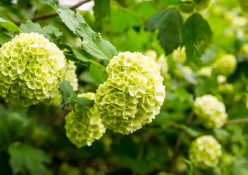 Similar image 16572052