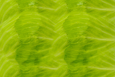 Similar image 16572086