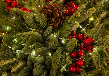 Similar image 16572088