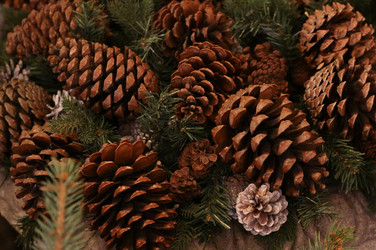 Similar image 16572113