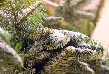 Similar image 16572423