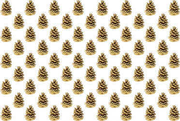 Similar image 16572425