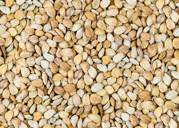 Similar image 16572446