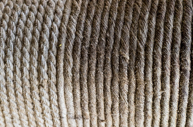 Similar image 16572484