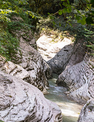 Similar image 16572486