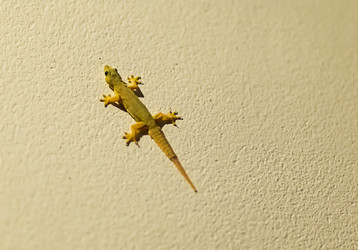 Similar image 16571841