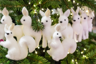 Similar image 16571905