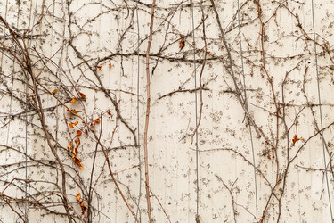 Similar image 16571951