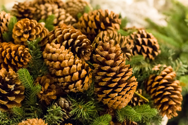 Similar image 16571972