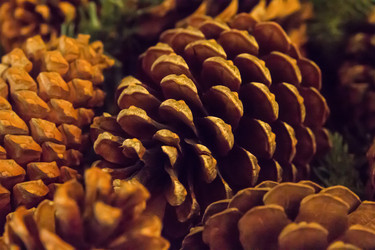 Similar image 16571996